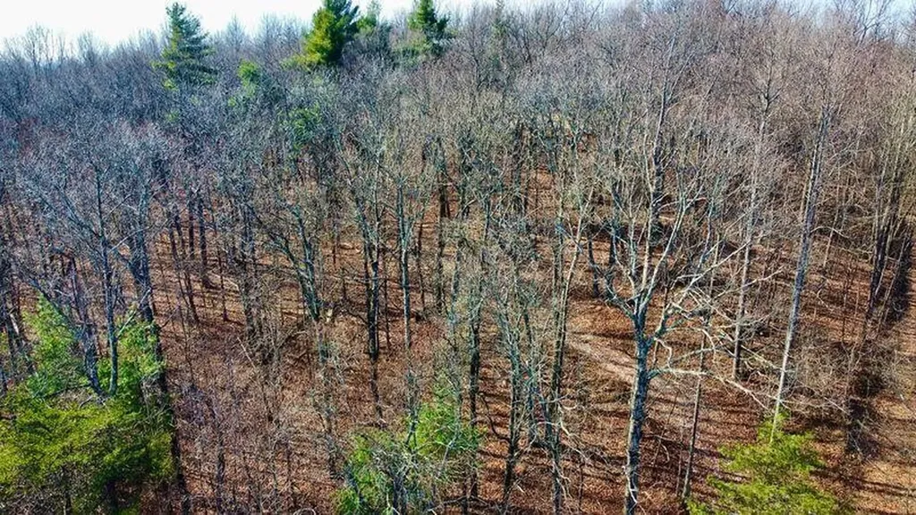 654 Briley Road Spring City TN 37381