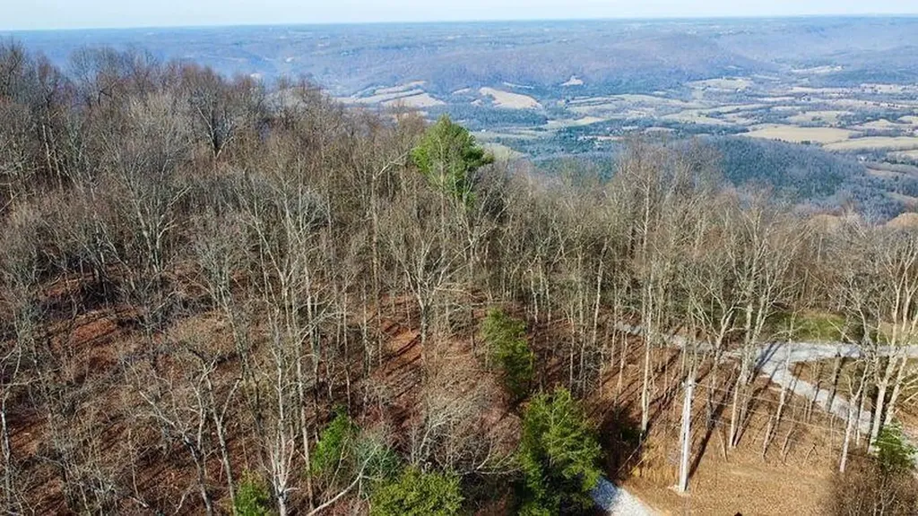 654 Briley Road Spring City TN 37381