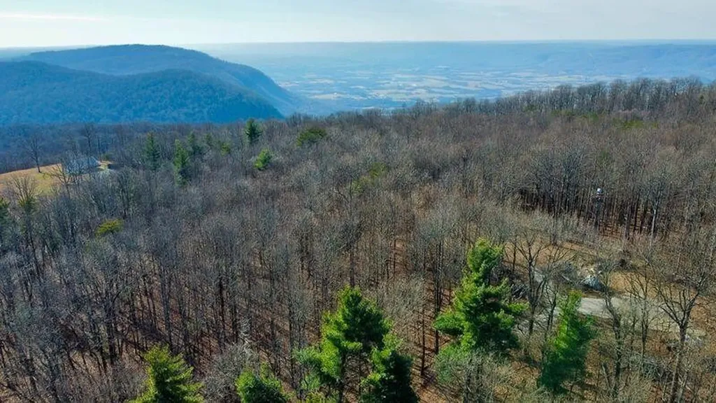 654 Briley Road Spring City TN 37381