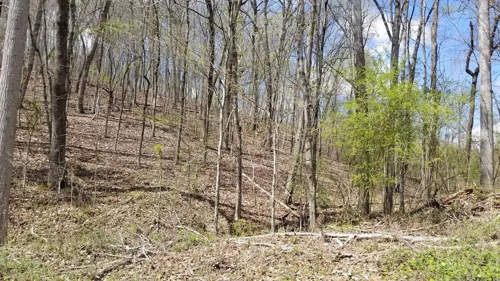 286 Maple Drive Spring City TN 37381