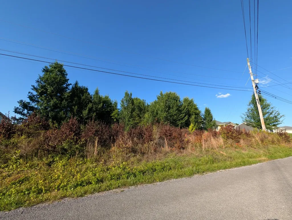 1174 Crosby Lane Spring City TN 37381