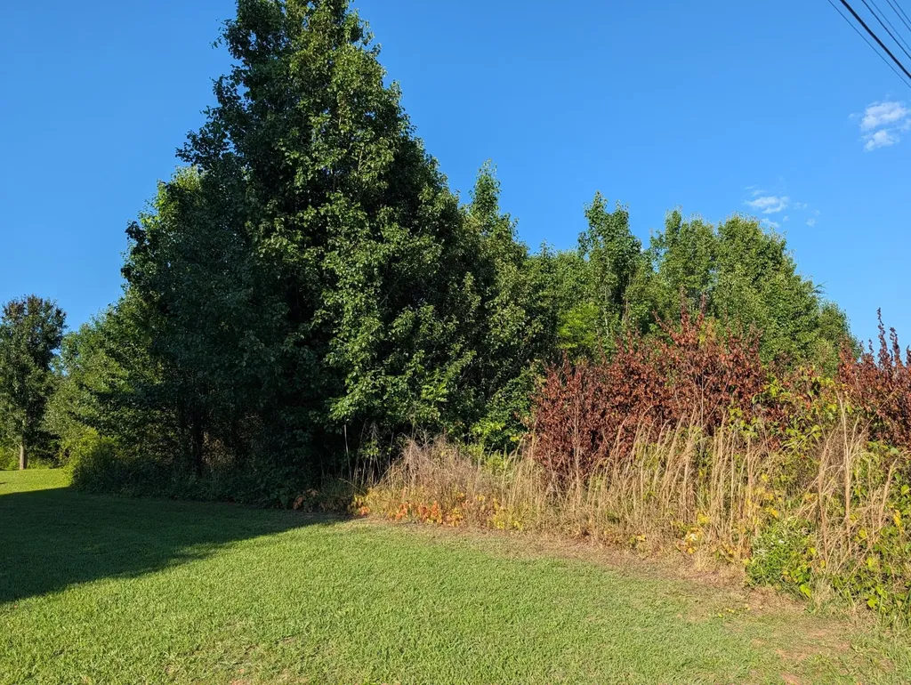 1174 Crosby Lane Spring City TN 37381