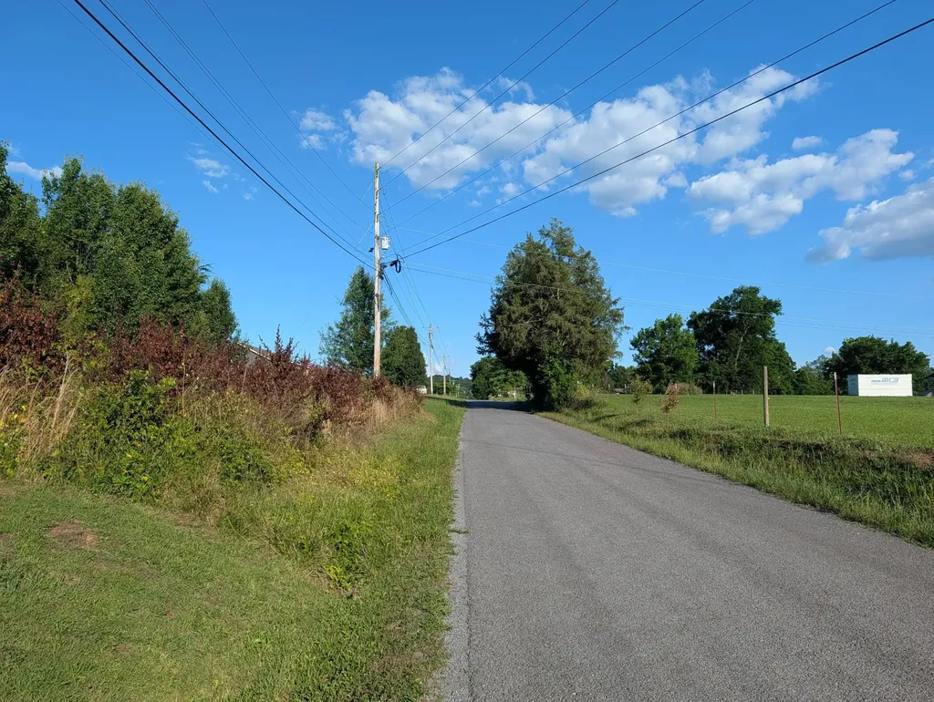 1174 Crosby Lane Spring City TN 37381
