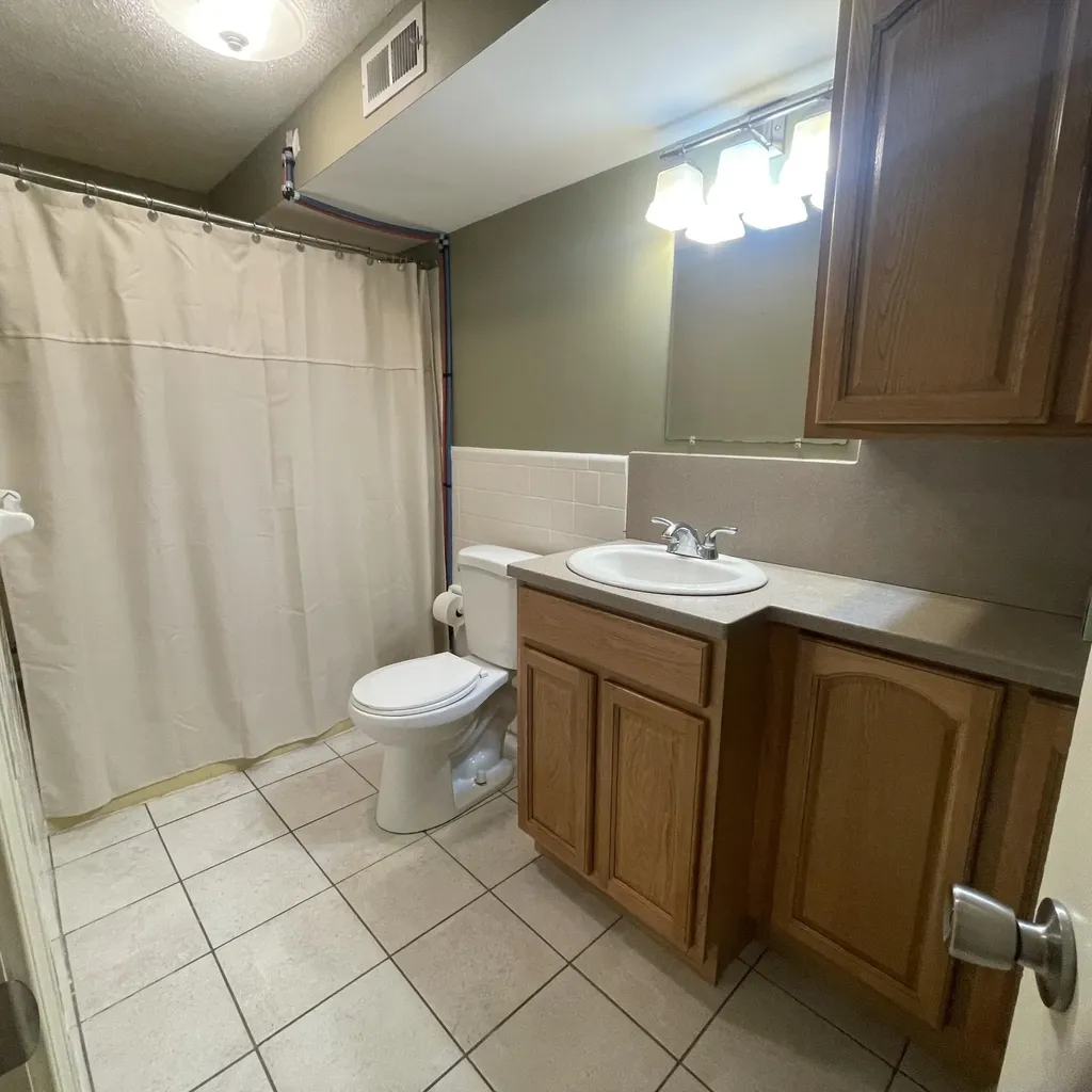 218 Lakeshore Court Spring City TN 37381