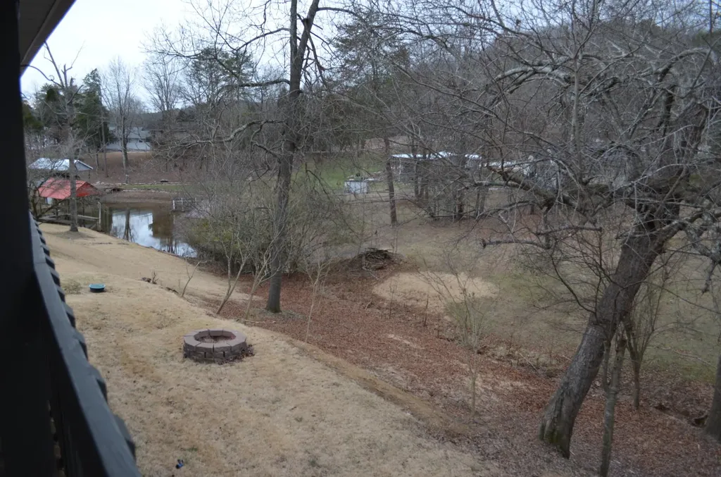 218 Lakeshore Court Spring City TN 37381