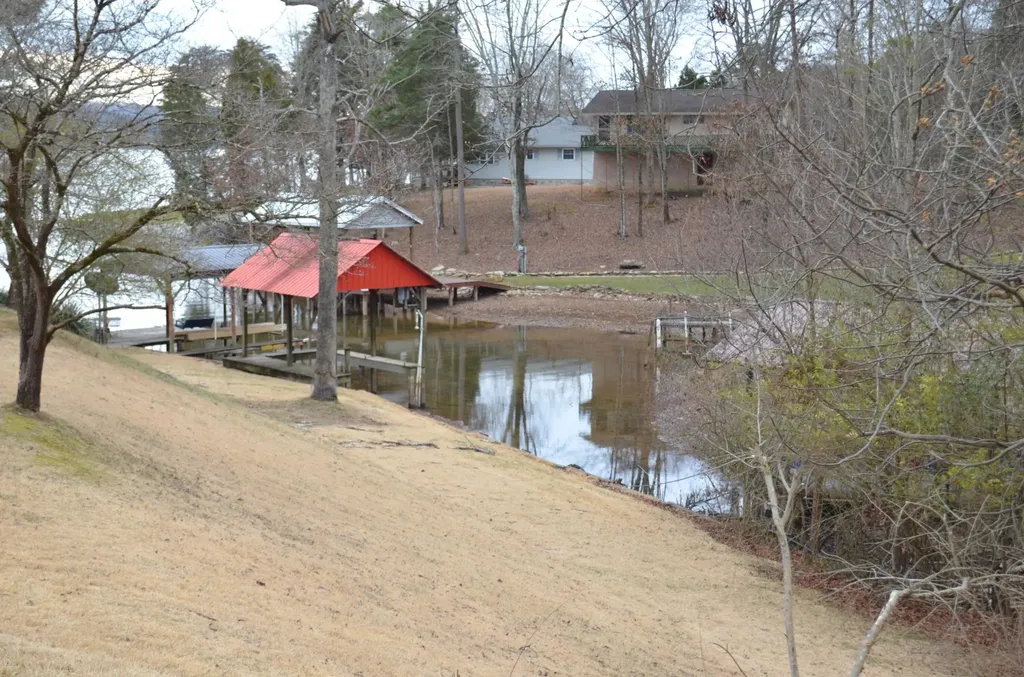 218 Lakeshore Court Spring City TN 37381