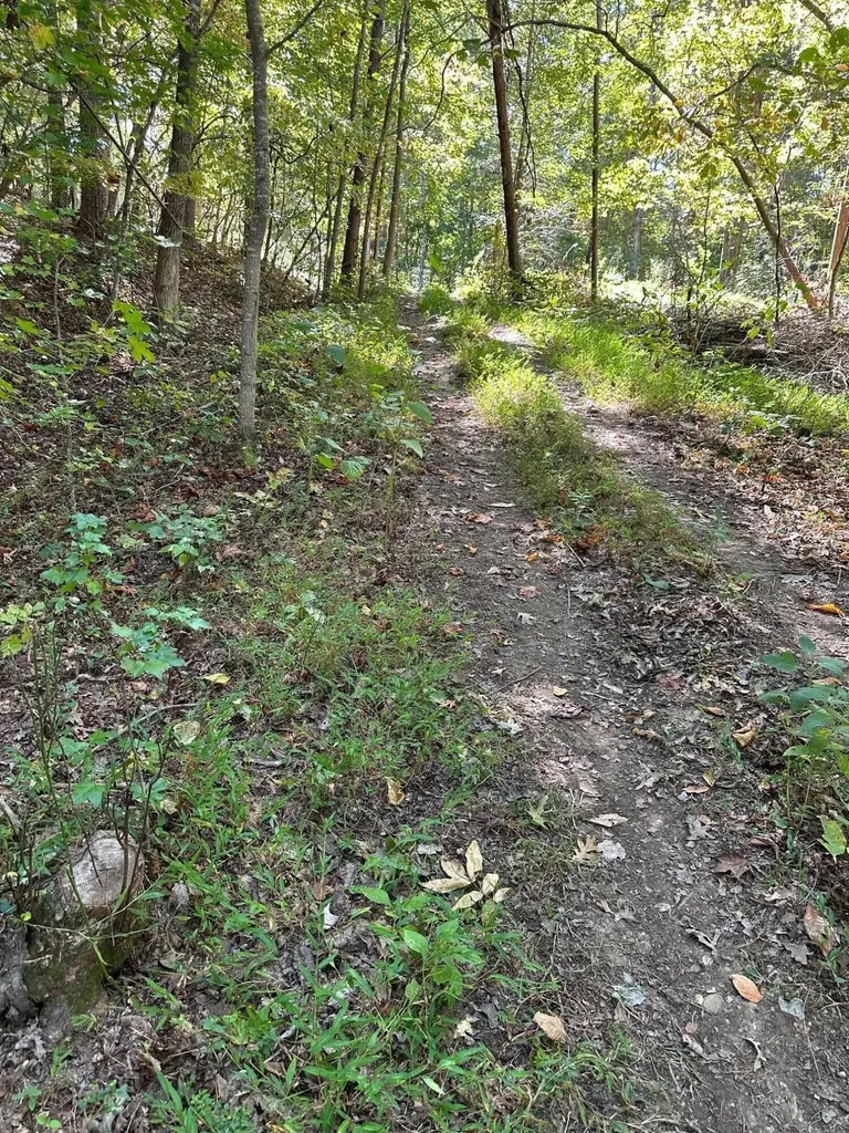412 Smith Road Spring City TN 37381