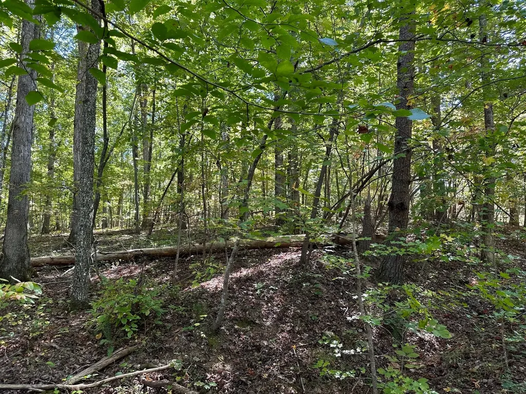 353 Diana Drive Spring City TN 37381
