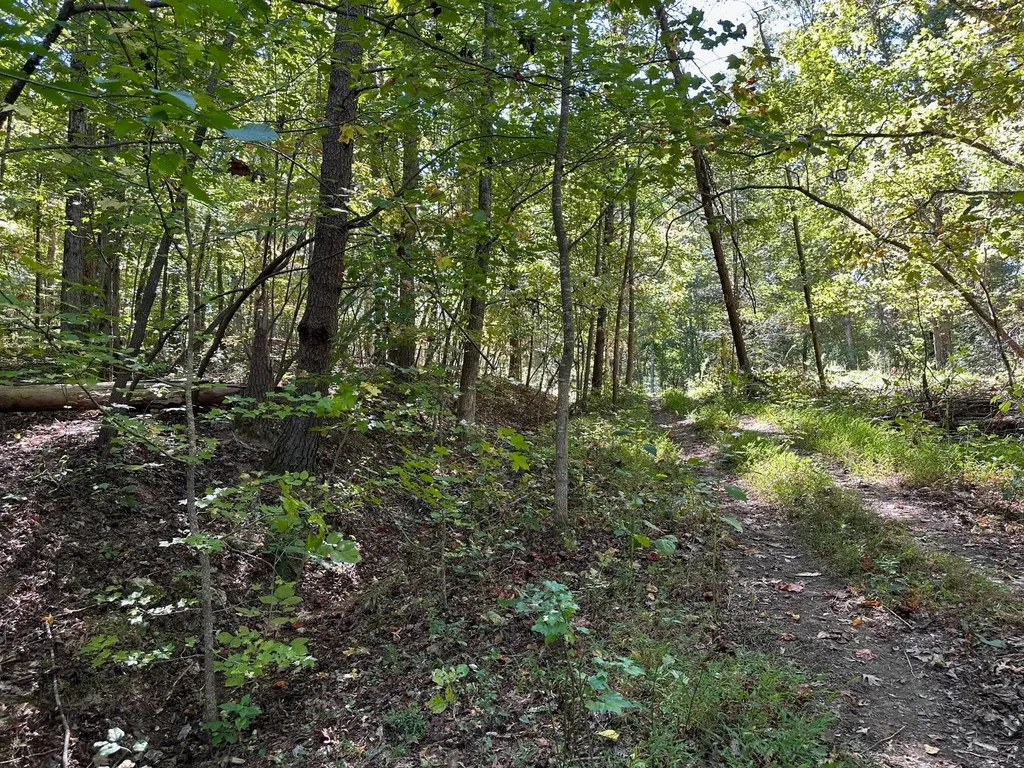 354 Diana Drive Spring City TN 37381