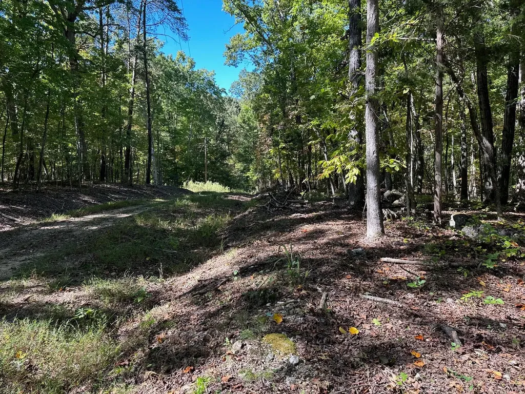352 Diana Drive Spring City TN 37381