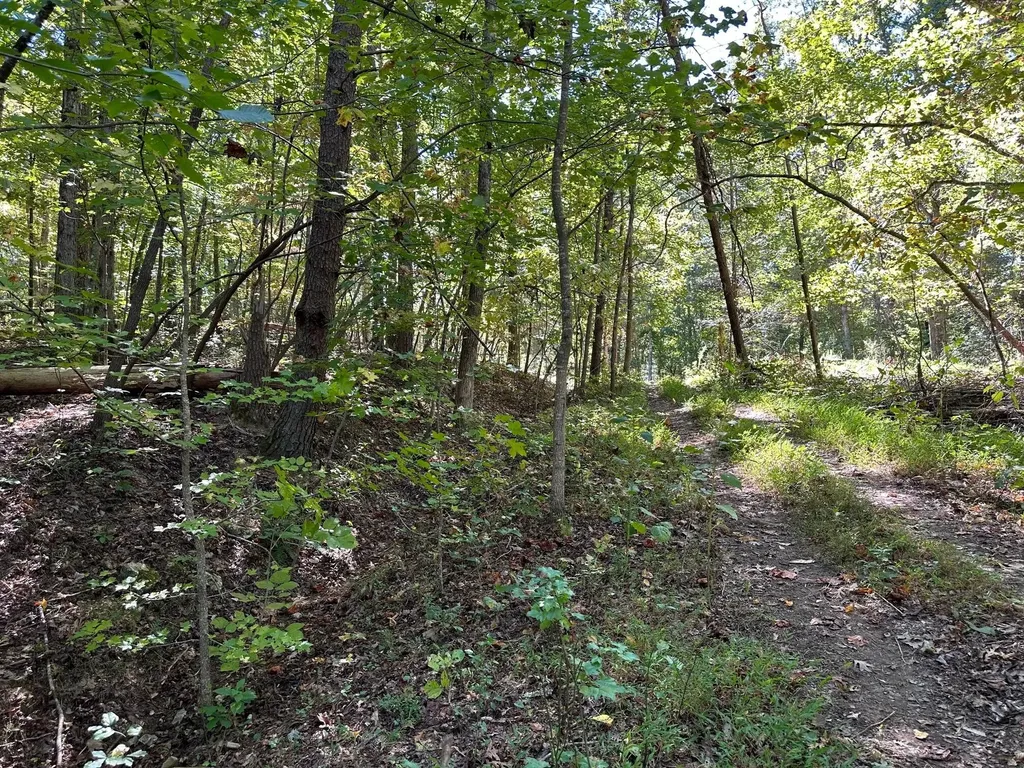 352 Diana Drive Spring City TN 37381