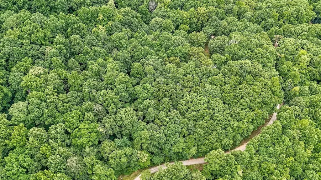 701 Cherokee Ridge Road Pikeville TN 37367