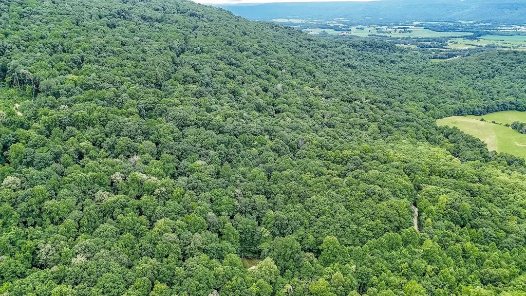 701 Cherokee Ridge Road Pikeville TN 37367
