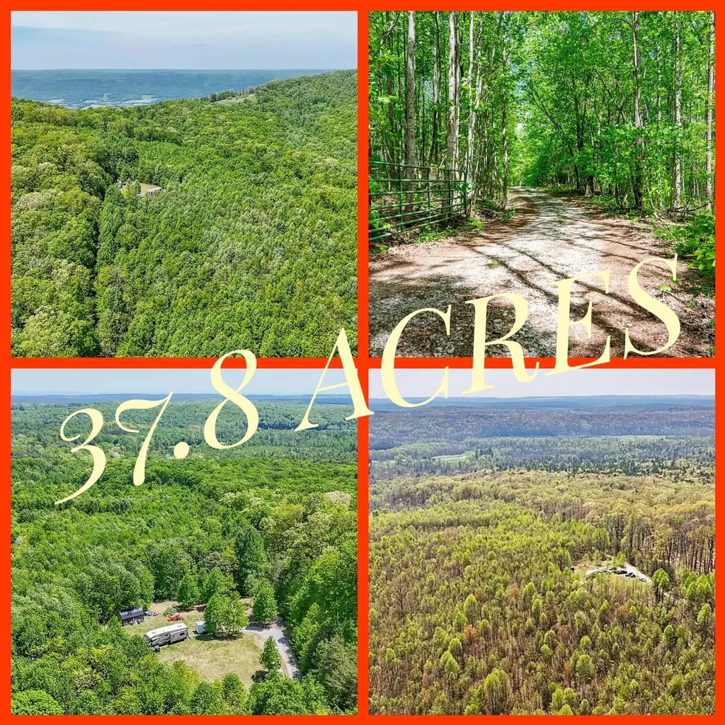 1867 Big Ridge Road Spring City TN 37381