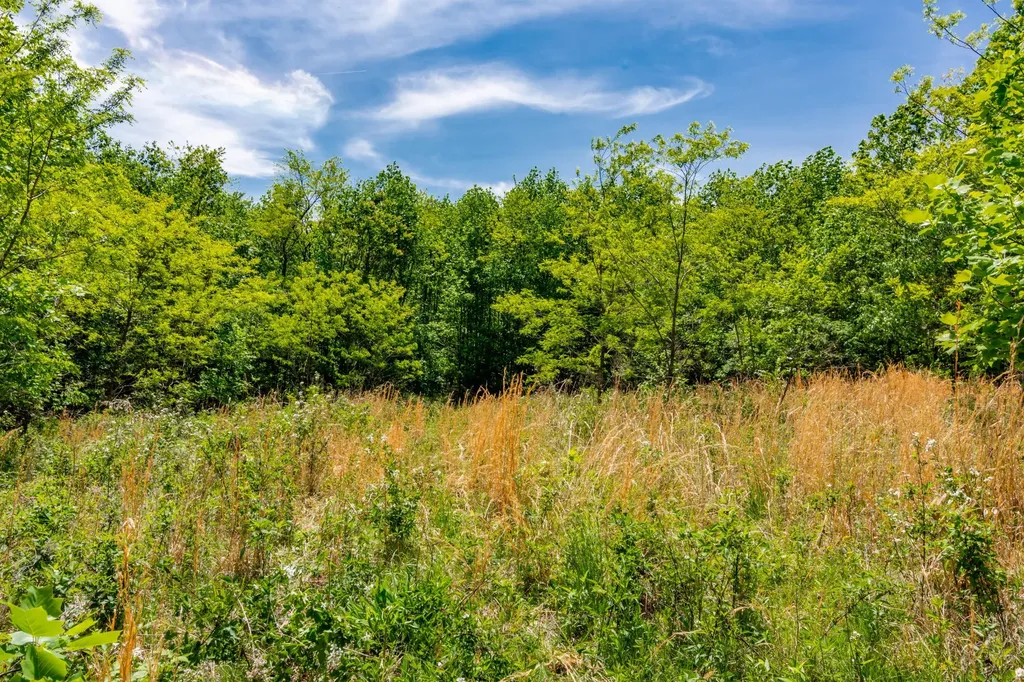 1867 Big Ridge Road Spring City TN 37381
