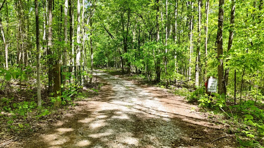 1867 Big Ridge Road Spring City TN 37381