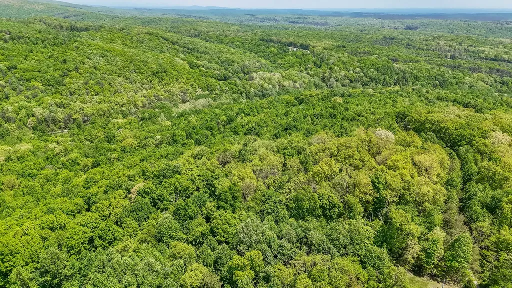 1867 Big Ridge Road Spring City TN 37381