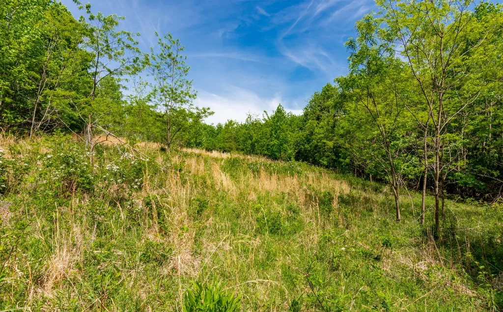 1867 Big Ridge Road Spring City TN 37381