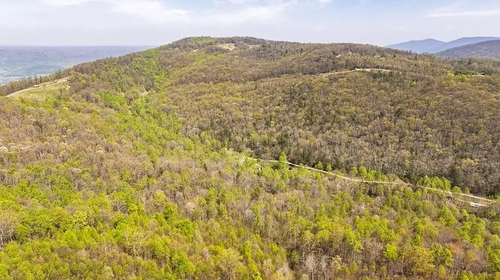 1867 Big Ridge Road Spring City TN 37381
