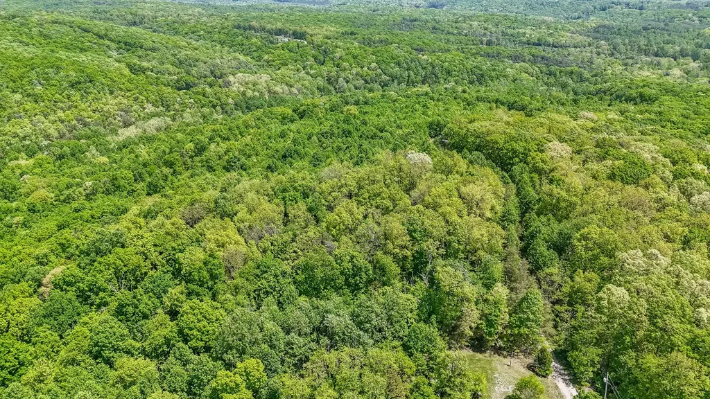 1867 Big Ridge Road Spring City TN 37381