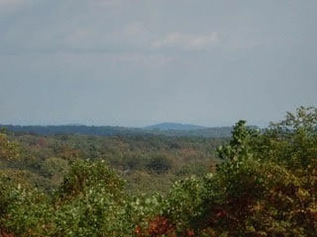 1867 Big Ridge Road Spring City TN 37381