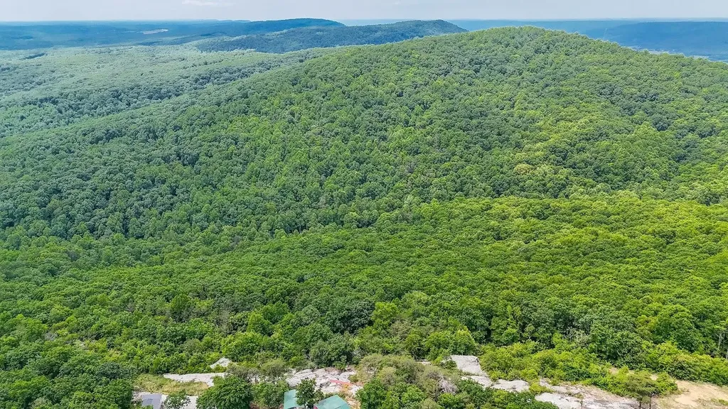 1407 Holloway Ridge Road Spring City TN 37381