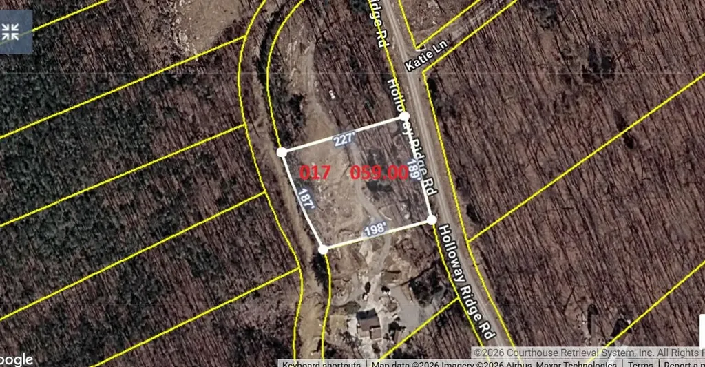 1407 Holloway Ridge Road Spring City TN 37381