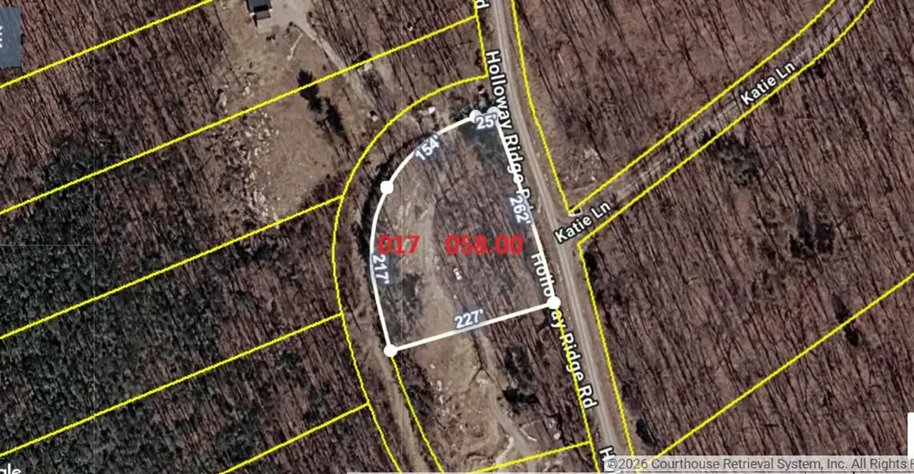 1407 Holloway Ridge Road Spring City TN 37381