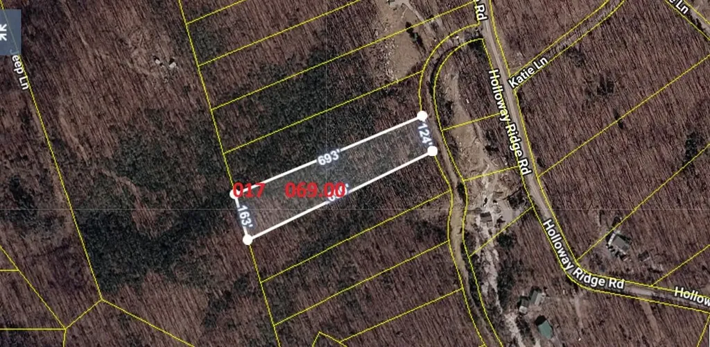 1407 Holloway Ridge Road Spring City TN 37381