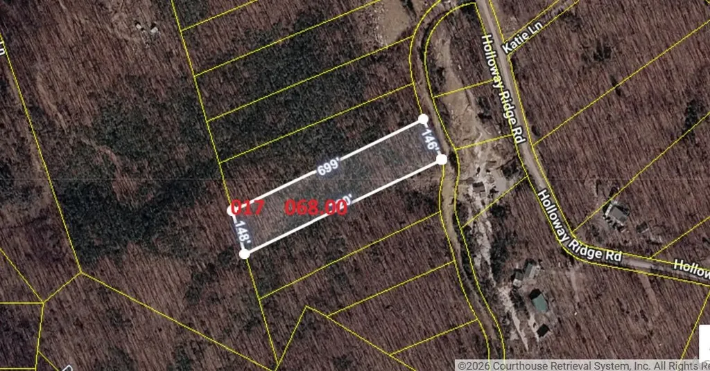 1407 Holloway Ridge Road Spring City TN 37381