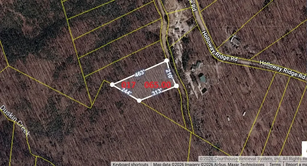 1407 Holloway Ridge Road Spring City TN 37381