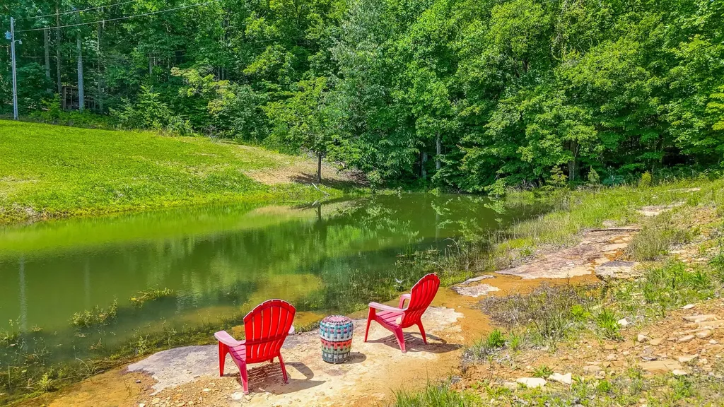 2479 Shut In Gap Road Spring City TN 37381