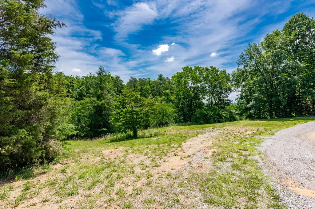 2479 Shut In Gap Road Spring City TN 37381