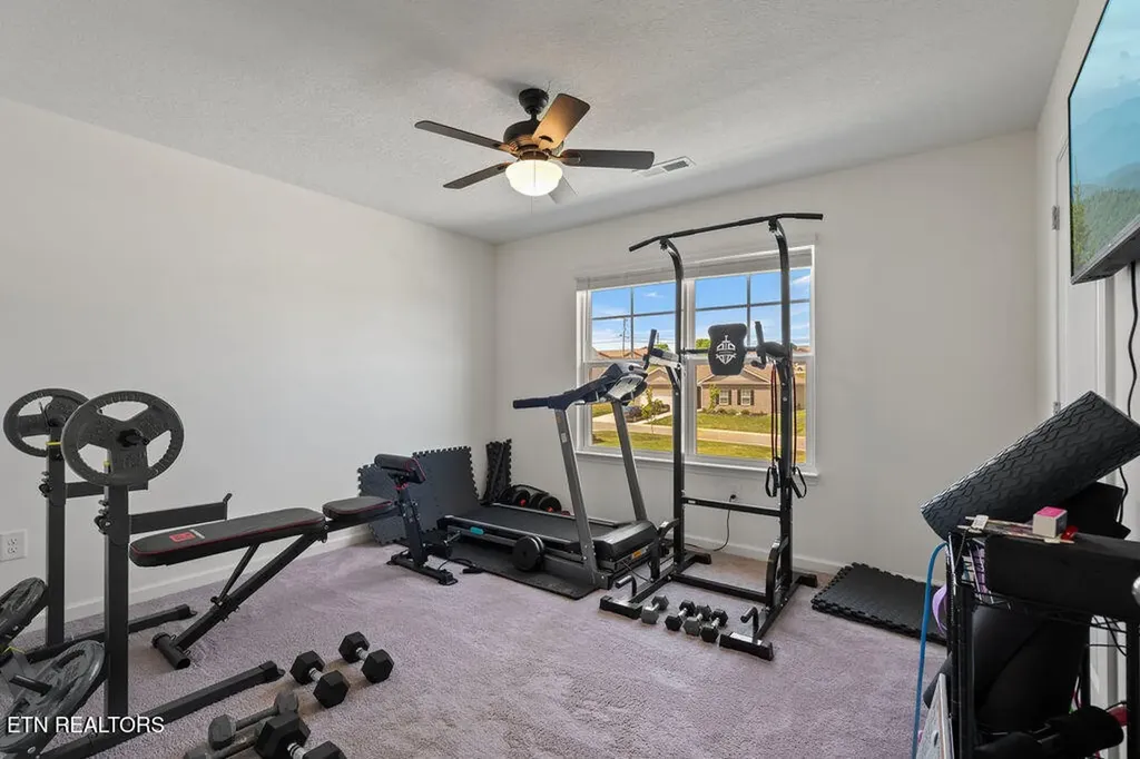 1170 Elery Drive Seymour TN 37865