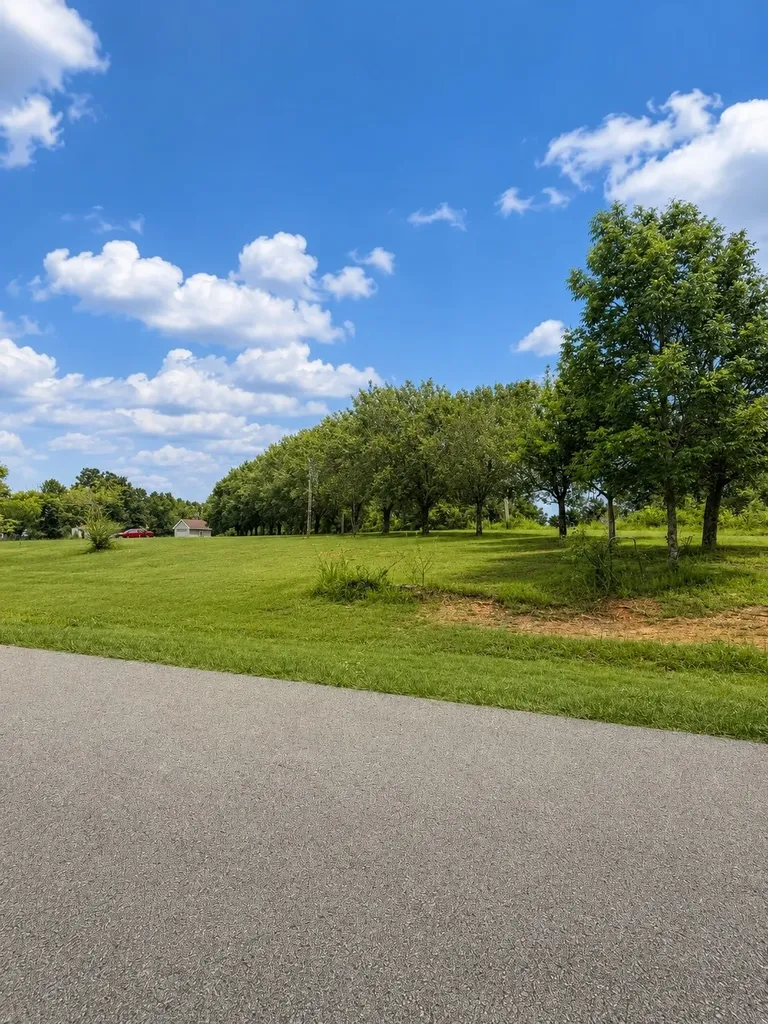 118 Steeplechase Drive Smithville TN 37166