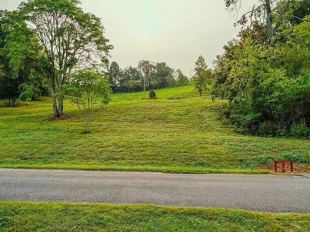 2523 Baptist Church Road Culleoka TN 38451