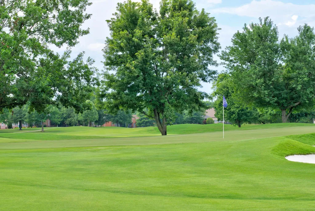 915 John Armfield Court Gallatin TN 37066
