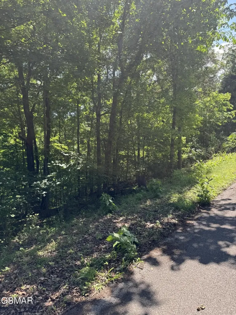 0 Muddy Creek Road Dandridge TN 37725