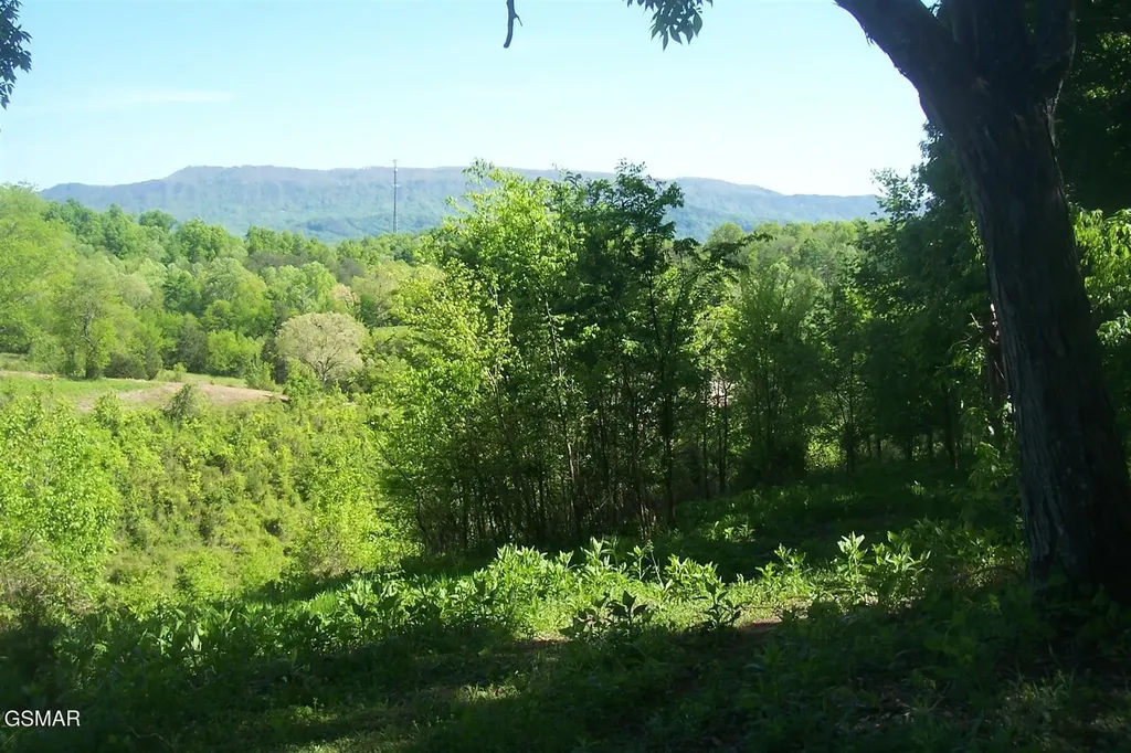 1 Chapman Highway Seymour TN 37865