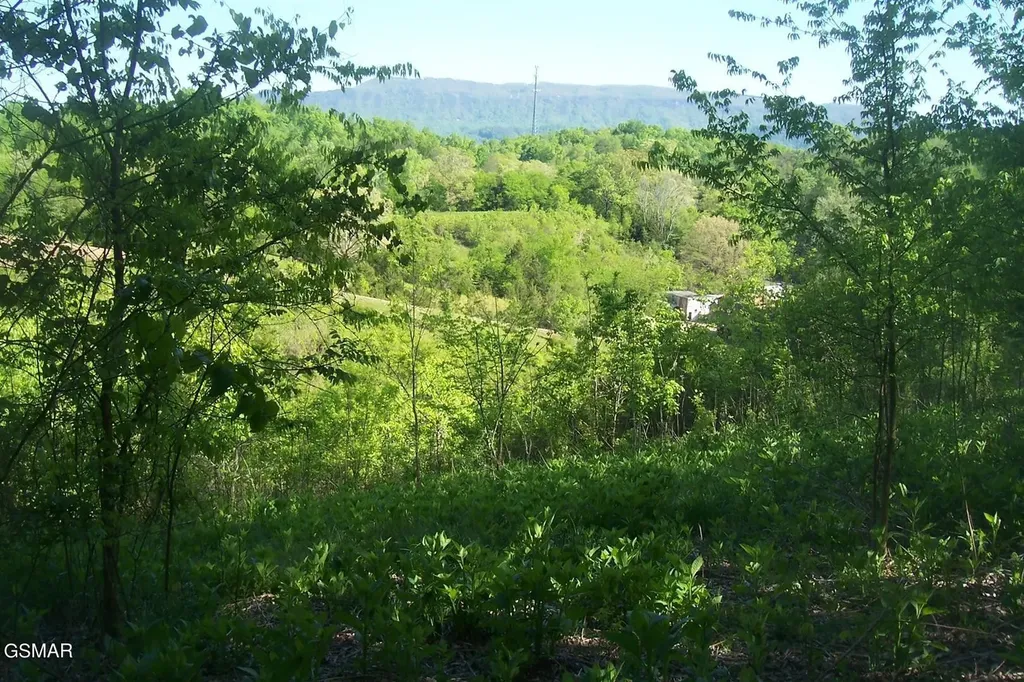 1 Chapman Highway Seymour TN 37865