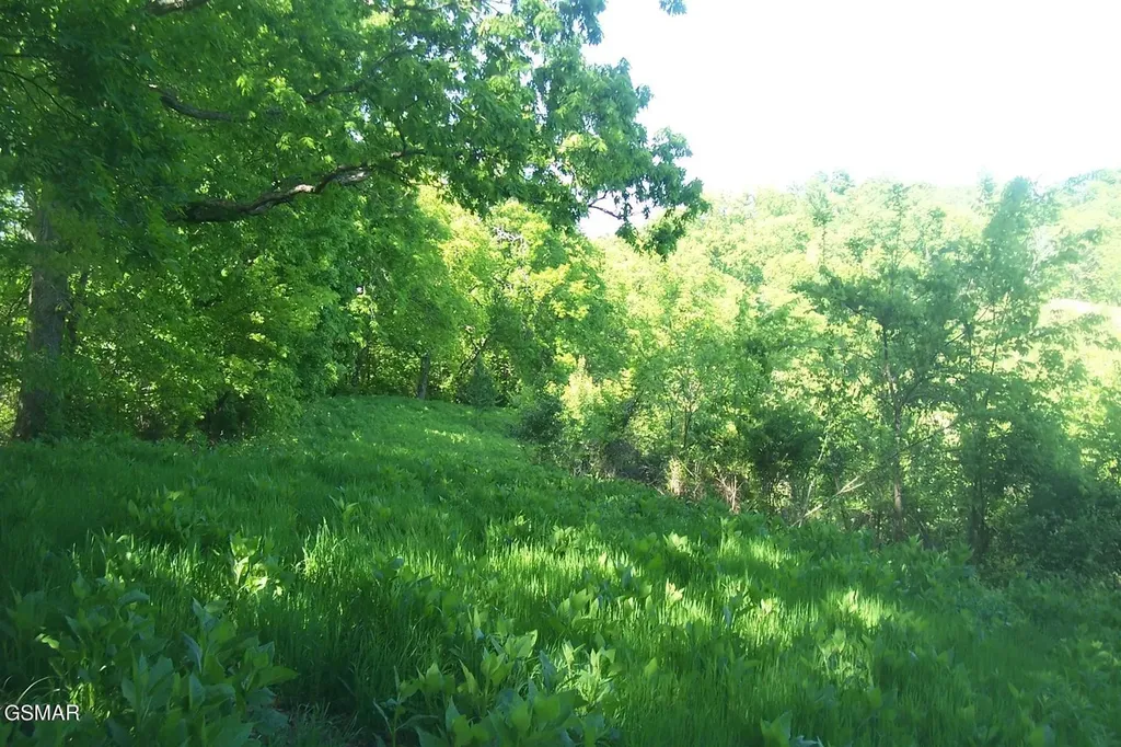 1 Chapman Highway Seymour TN 37865