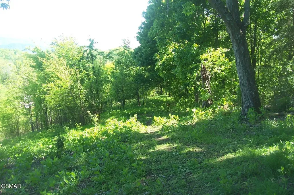 1 Chapman Highway Seymour TN 37865