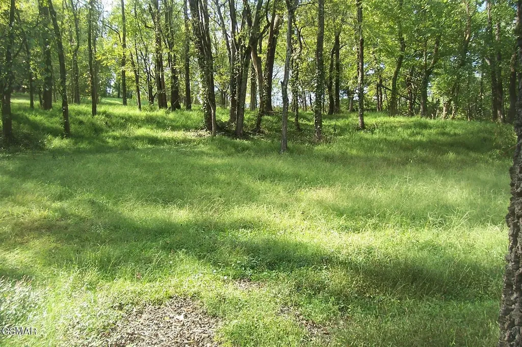 21 Chapman Highway Seymour TN 37865