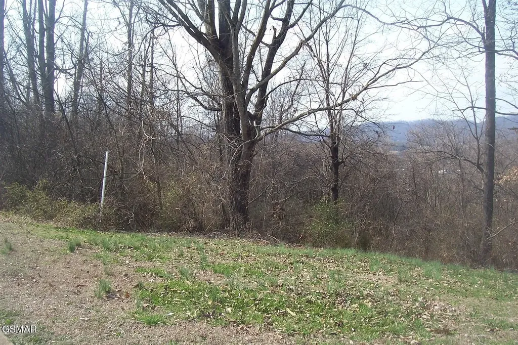 142 Low Valley Road Dandridge TN 37725