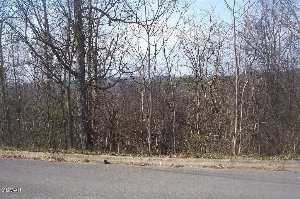 142 Low Valley Road Dandridge TN 37725