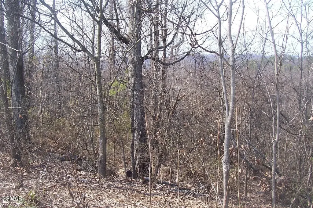 142 Low Valley Road Dandridge TN 37725