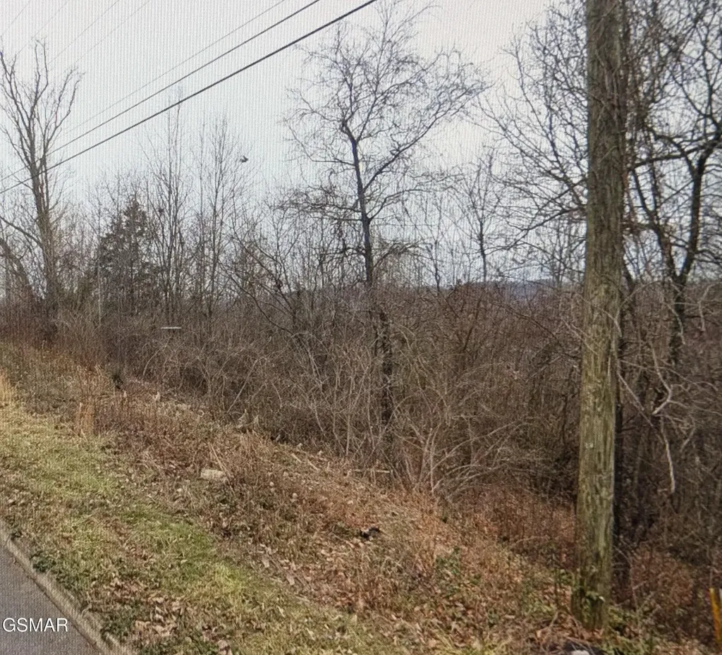 142 Low Valley Road Dandridge TN 37725