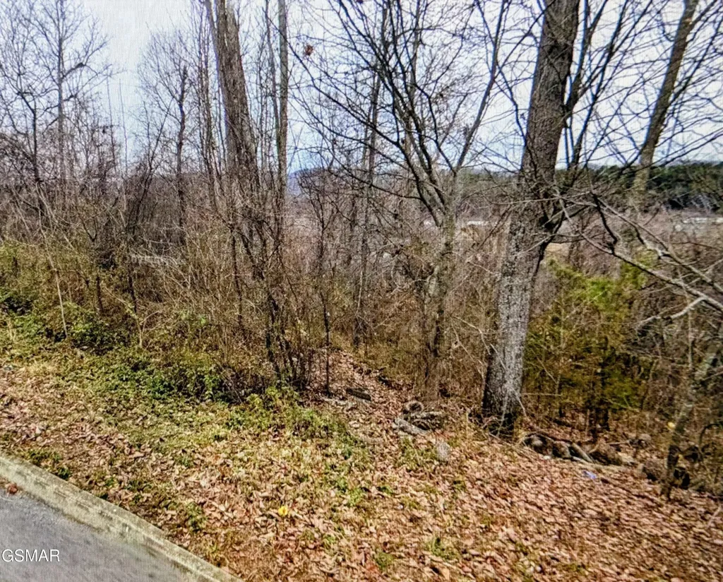 142 Low Valley Road Dandridge TN 37725