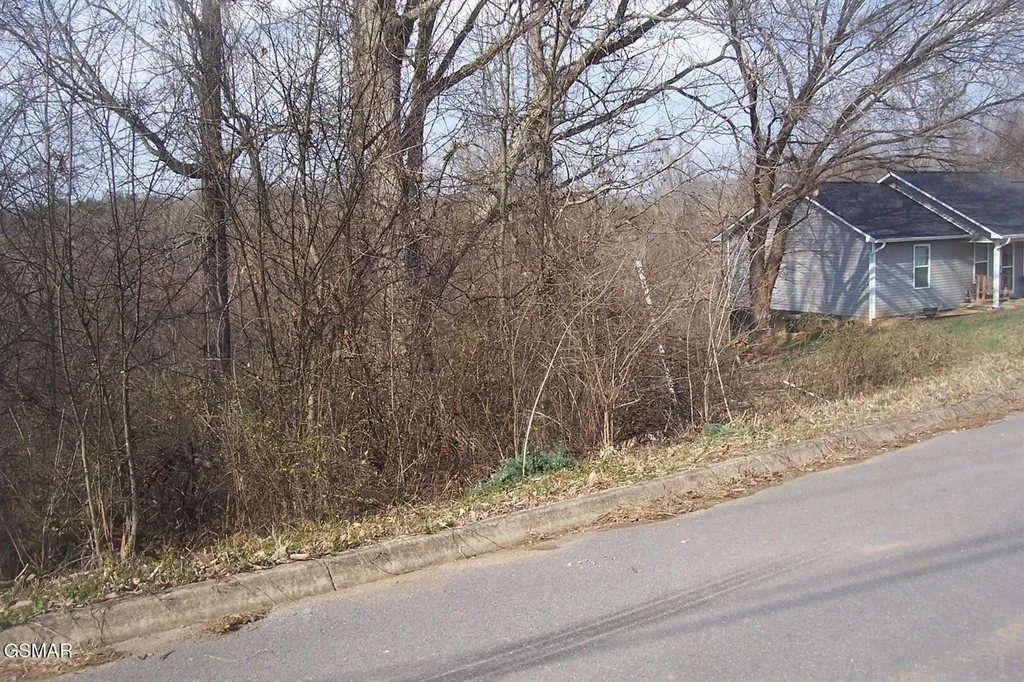 142 Low Valley Road Dandridge TN 37725
