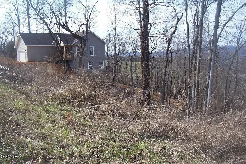 142 Low Valley Road Dandridge TN 37725